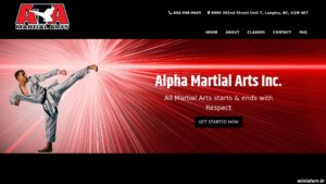 Langley Martial Arts